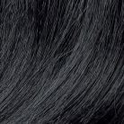 818154d27d69e91c13a22bfa295f8557.jpg